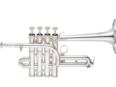 Yellow Silver Trumpet