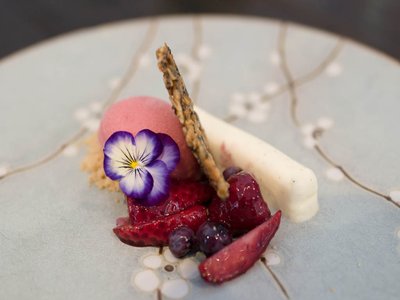 Yoghurt Berry
